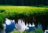 世界短跑城市公开课：中国教练带队示范训练细节，国家短跑教练